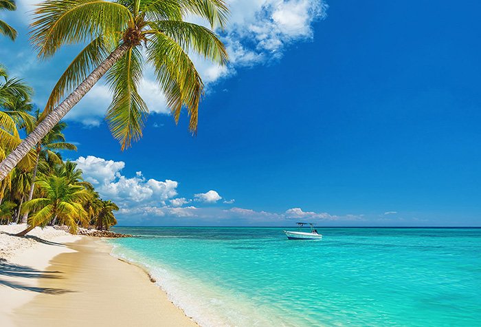 playa-palmera-punta-cana-playaQ